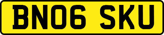 BN06SKU