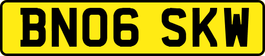 BN06SKW