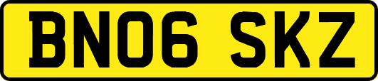 BN06SKZ