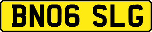 BN06SLG