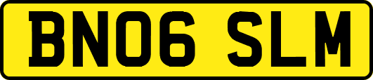 BN06SLM
