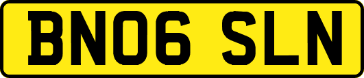 BN06SLN
