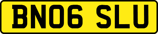 BN06SLU