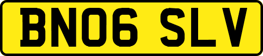 BN06SLV