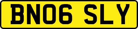 BN06SLY