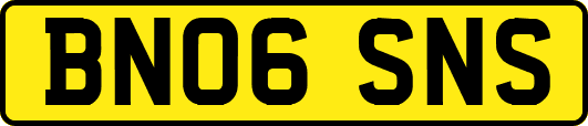 BN06SNS