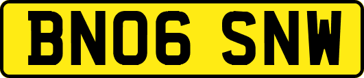 BN06SNW