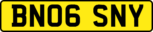 BN06SNY