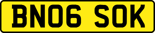 BN06SOK
