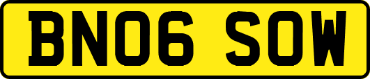 BN06SOW