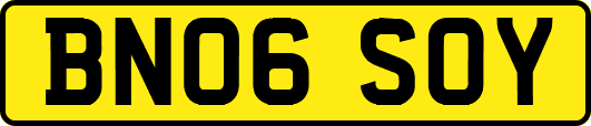 BN06SOY