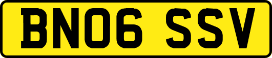 BN06SSV
