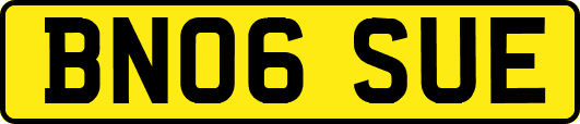 BN06SUE