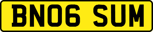 BN06SUM