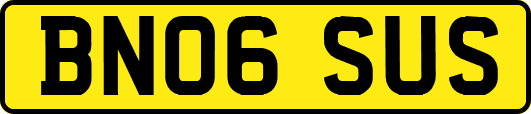 BN06SUS