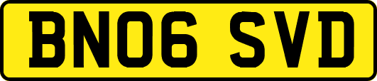 BN06SVD