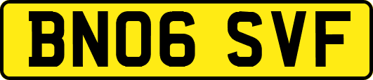 BN06SVF