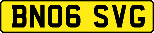 BN06SVG