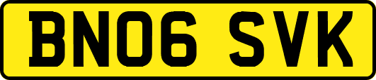 BN06SVK