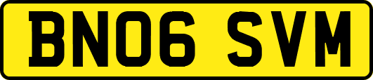 BN06SVM