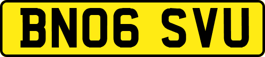 BN06SVU