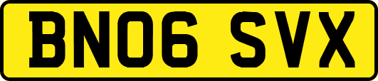 BN06SVX