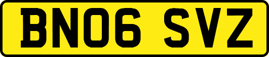 BN06SVZ