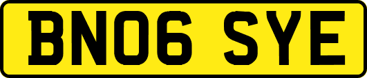 BN06SYE