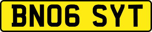 BN06SYT