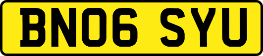 BN06SYU