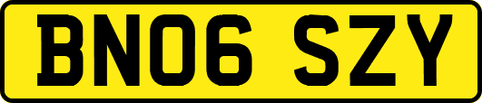 BN06SZY