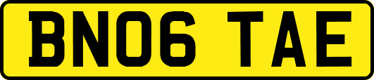 BN06TAE