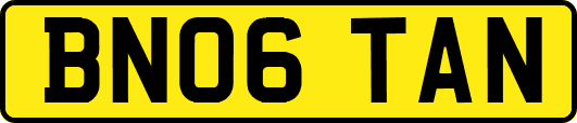 BN06TAN