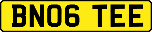 BN06TEE
