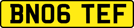 BN06TEF