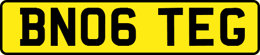 BN06TEG