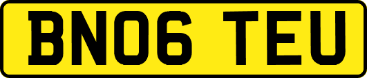 BN06TEU
