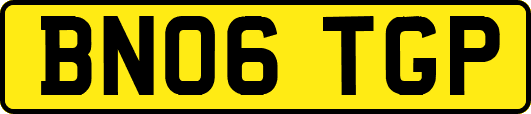 BN06TGP