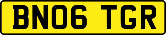 BN06TGR