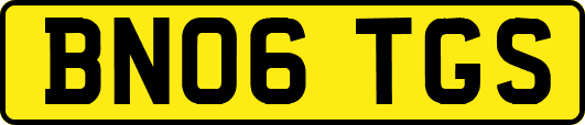BN06TGS