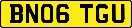 BN06TGU