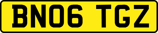 BN06TGZ