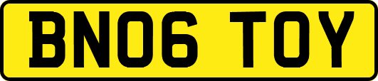 BN06TOY
