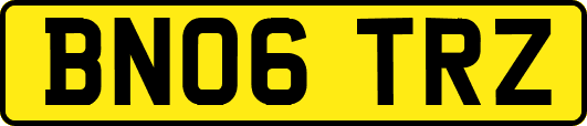 BN06TRZ