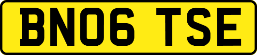 BN06TSE