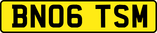BN06TSM