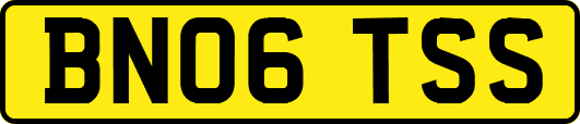 BN06TSS