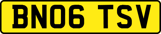 BN06TSV