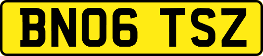 BN06TSZ