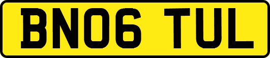 BN06TUL